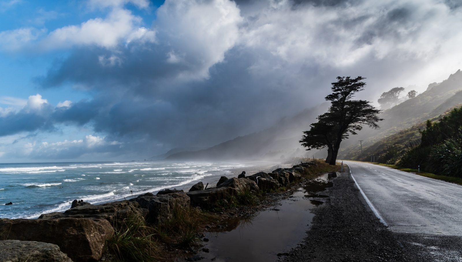 Lone Tree Road Megan Watson